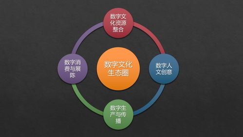張曉明 跨越新文創(chuàng)時(shí)代專業(yè)鴻溝，構(gòu)建數(shù)字文化生態(tài)圈